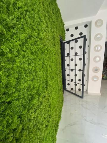 Suite 43 Terrasini Kültér fotó